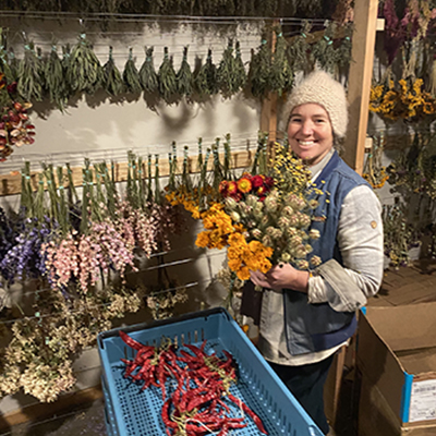 How to dry flowers  that come back from market